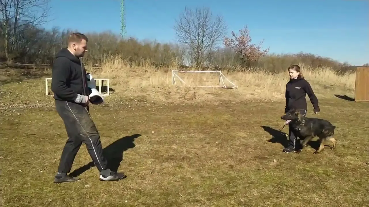 Querro in protection training