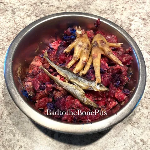 Raw beef mix meal for Pitbull with whole capelin fish and chicken feet