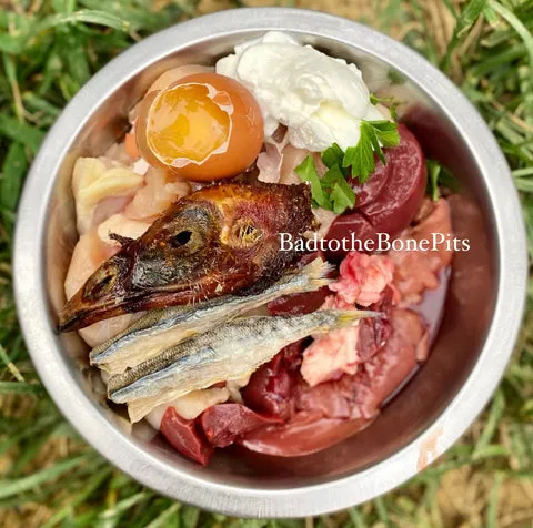 Raw chicken breast and turkey head meal for Pitbull with organ meats and yogurt