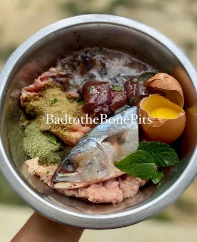 Raw chicken mix for Pitbull with beef kidney, liver, egg, mint, kelp, and vegetables