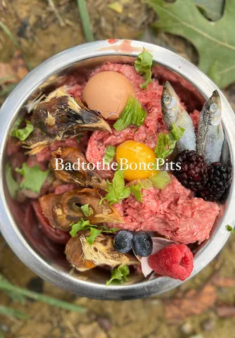 Raw ground beef and chicken heads meal for Pitbull with mixed berries, egg, and organ meats