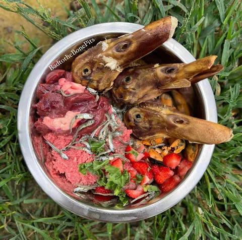 Raw ground beef and duck heads meal for Pitbull with berries, kale, and organ meats