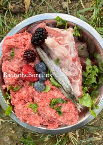 Raw ground beef and pork ribs meal for Pitbull with mixed berries, spring mix, and organ meats