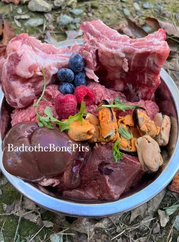 Raw ground beef and pork ribs meal for Pitbull with organ meats, berries, and greens