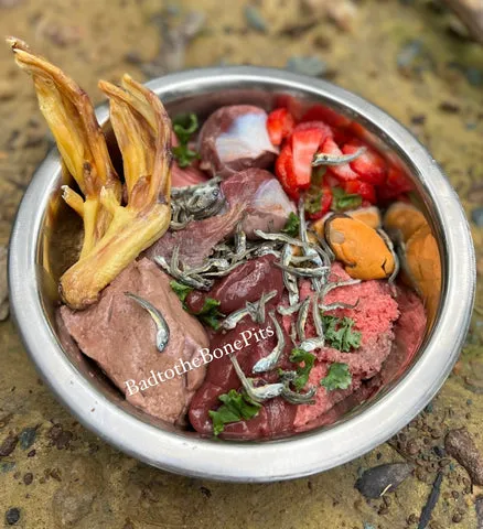 Raw ground beef meal for Pitbull with duck feet, turkey gizzards, berries, and organ meats