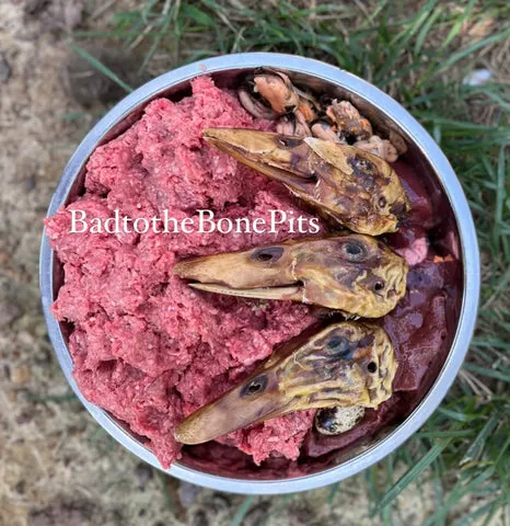 Raw ground beef meal for Pitbull with duck heads, organ meats, quail eggs, and green lipped mussels