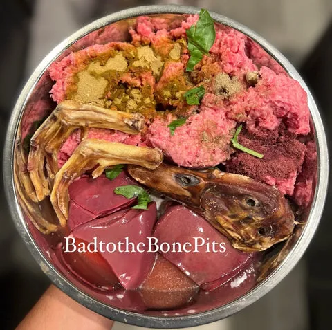 Raw ground beef meal with duck head, duck feet, organ meats, and spinach for Pitbull