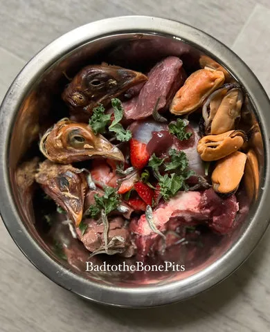 Raw turkey gizzards and chicken heads meal for Pitbull with kale, strawberries, and organ meats