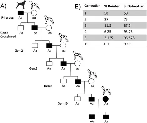 Replacing a detrimental allele