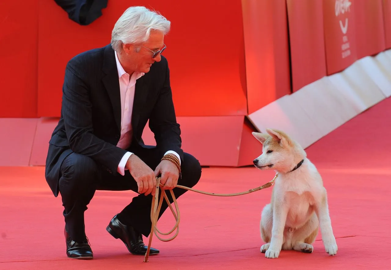 Richard Gere, star of the movie based on Hachiko's story, posing with the Akita dog from the film at the Rome Film Fest.