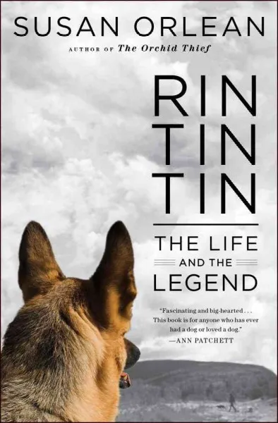 Rin Tin Tin