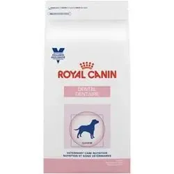 Royal Canin Canine Dental Dry Food Kibble