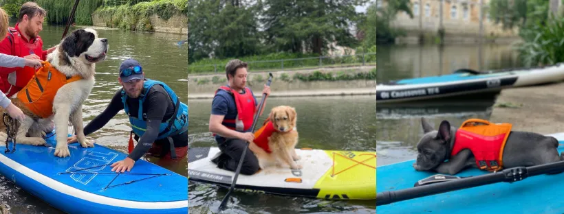 ruffwear float coats for paddleboarding