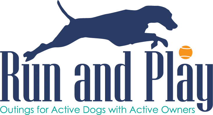 Run and Play Logo