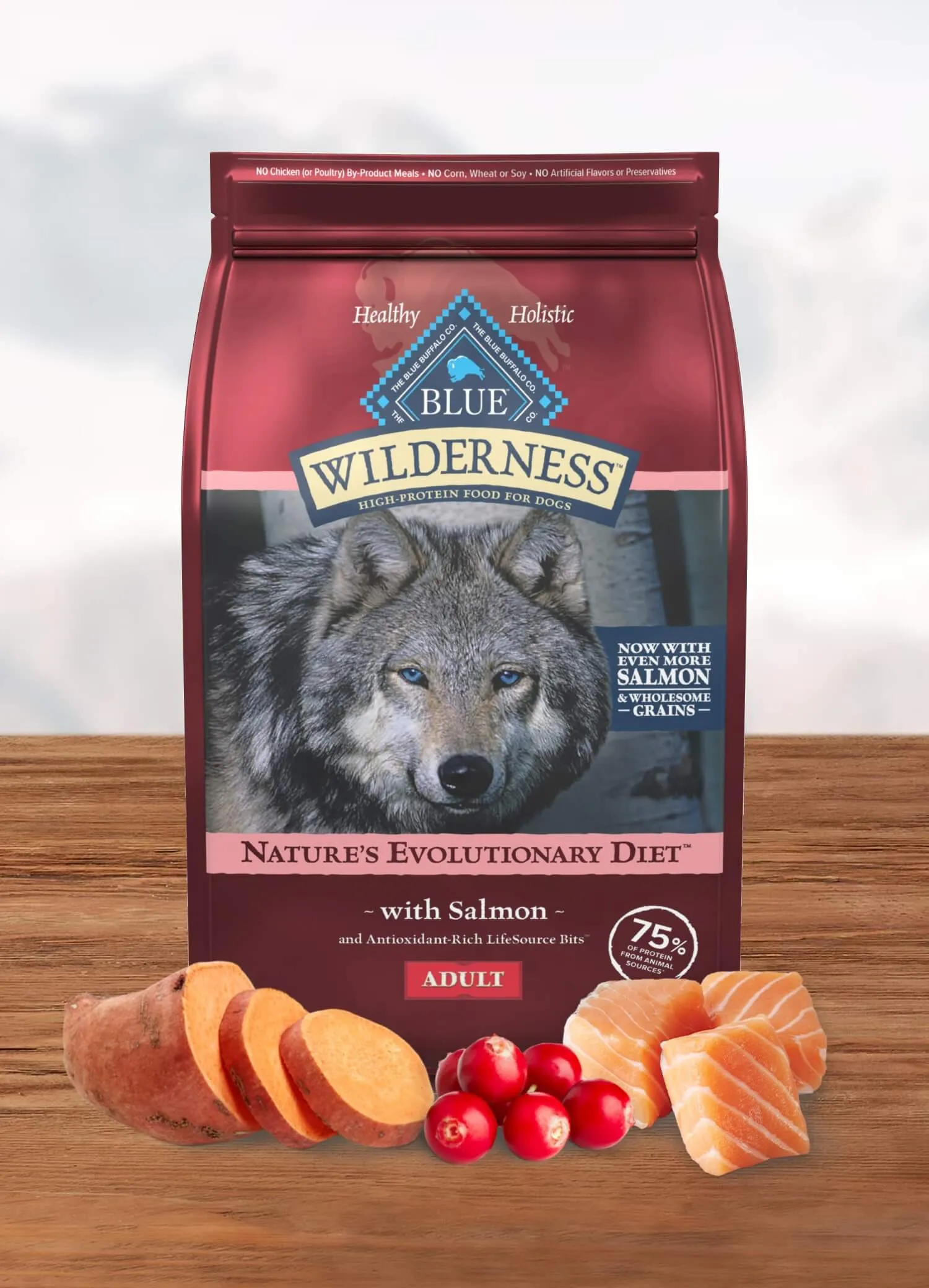 Salmon dog food kibble