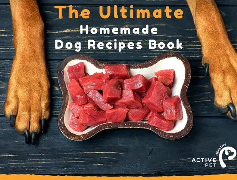 Screen capture of a comprehensive raw dog food recipe program for optimal canine nutrition