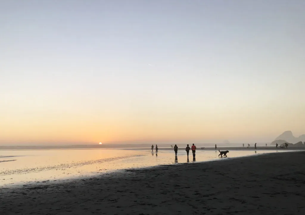 Serene sunset view at Moonstone beach, symbolizing the peaceful outcome of effective dog training and stronger dog-human bonds fostered by best dog training books 2021