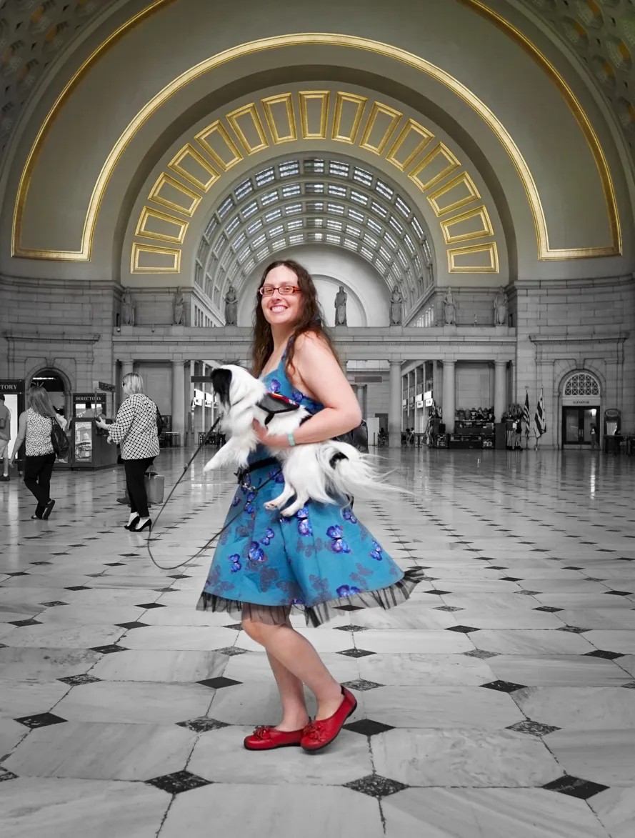 Service dog in training practicing public access in a wide-open area in Washington D.C.