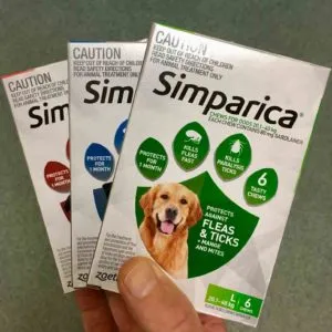 Simparica chewable tablet for dogs