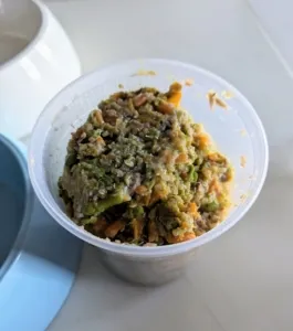 Single serving of best homemade dog food in a container