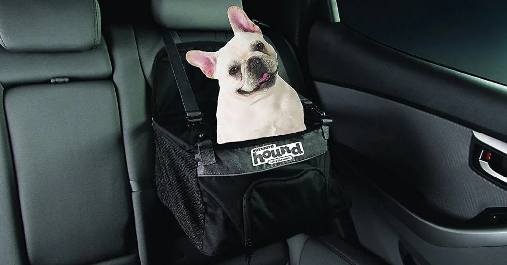 Small dog comfortably secured in an Outward Hound PupBoost car seat cover during a car journey, demonstrating pet safety and comfort.