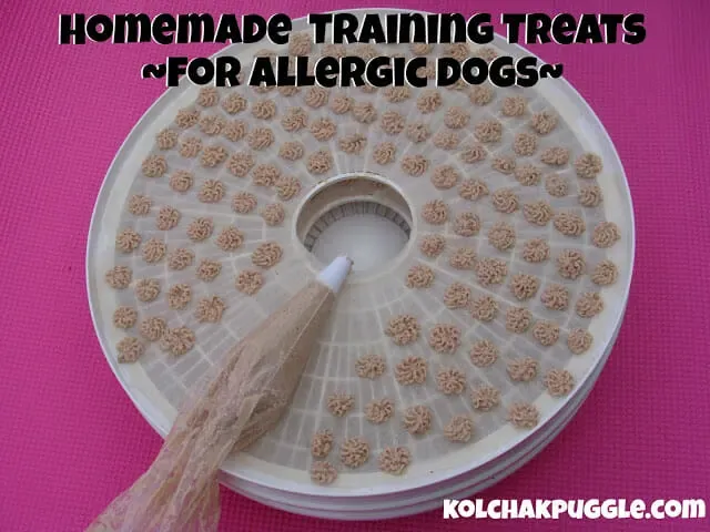 Small, oven-baked training treats made from canned dog food for allergic pets