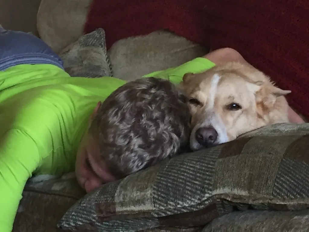 Smiling dog with owner