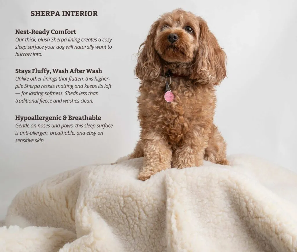 Soft, high-pile Sherpa lining in a cozy cave dog bed, highlighting its plush texture.