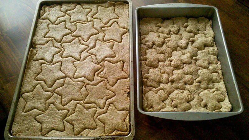 Spent Grains Dog Treats