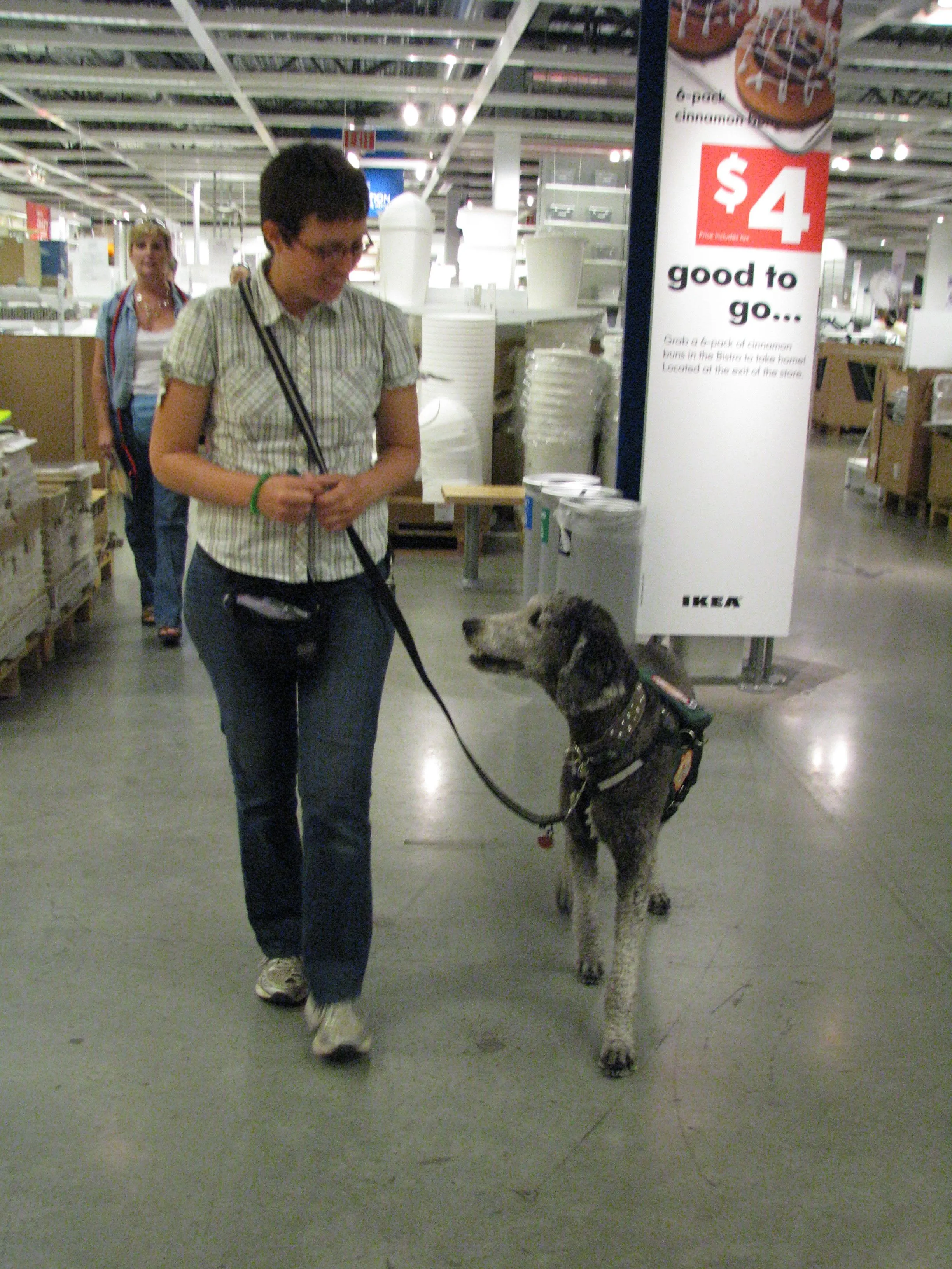 Standard Poodle service dog in a vest walking with its handler in a store, demonstrating public access for psychiatric support