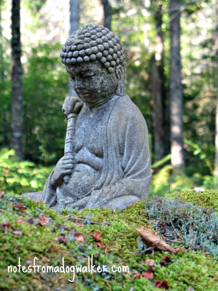 Statue of Buddha symbolizing peace and resilience needed for a sustainable dog walker career.