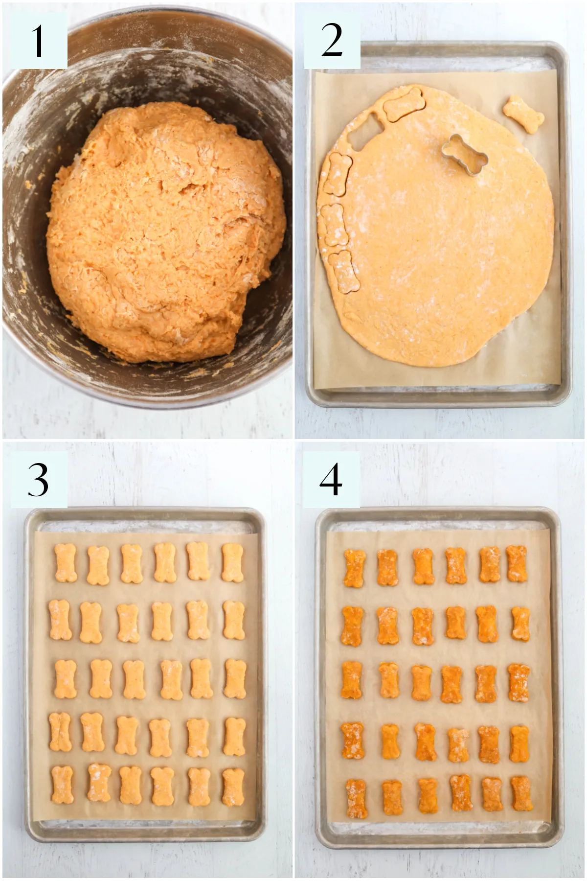 Step-by-step photos illustrating how to make soft pumpkin dog treats, from mixing ingredients to rolling and cutting dough.