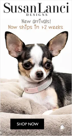 Susan Lanci Designer Pet Accessories