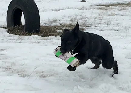 Tabaliah Fetch Newspaper