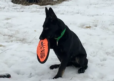 Tabaliah Frisbee Hold 2017-02-10