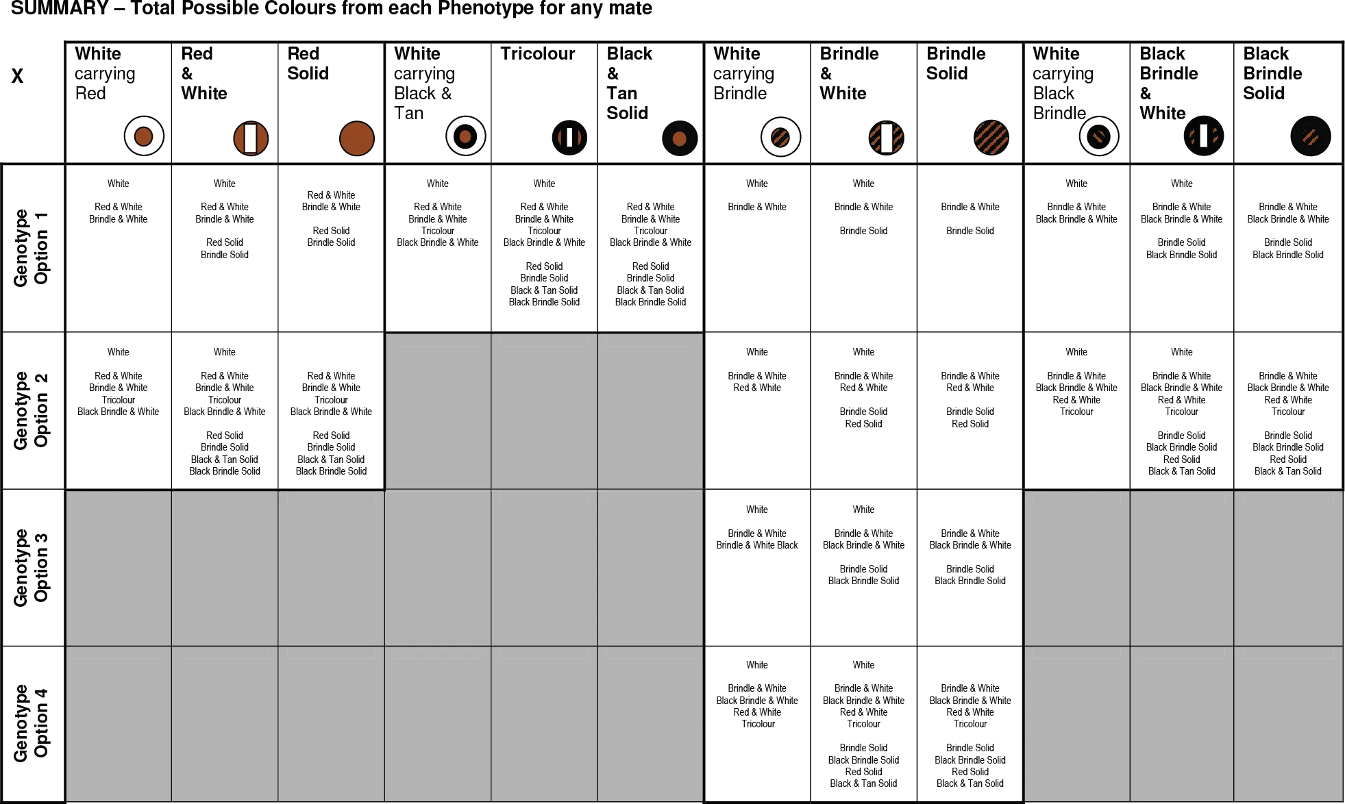 Table 5: Comprehensive Bull Terrier color inheritance outcomes