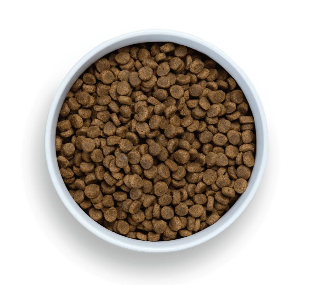 Texture and size of Nood kibble for Australian pet owners
