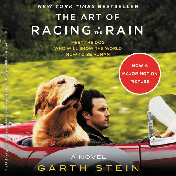 The Art of Racing in the Rain book cover, featuring a golden retriever in a car, symbolizing the unique perspective of a loyal dog in this heartwarming yet sad tale.