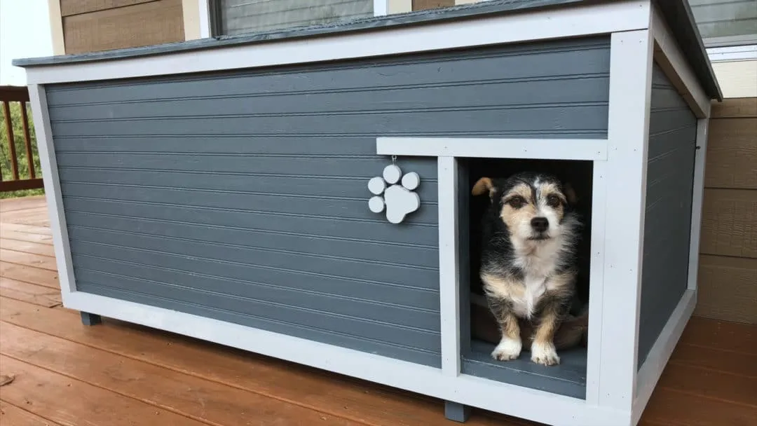 The completed insulated dog house