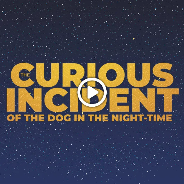 The Curious Incident of the Dog in the Night-Time
