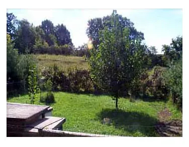The front of a chain link kennel with a lattice roof, vines, and patio block flooring.