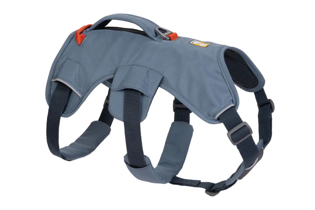 The modern Ruffwear Web Master Harness displayed, showcasing its durable construction and multiple adjustment points for an optimal dog fit.