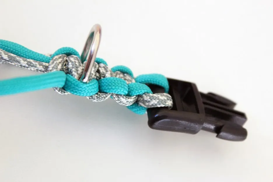 The paracord collar is shown with the weaving nearly complete, approaching the second buckle.