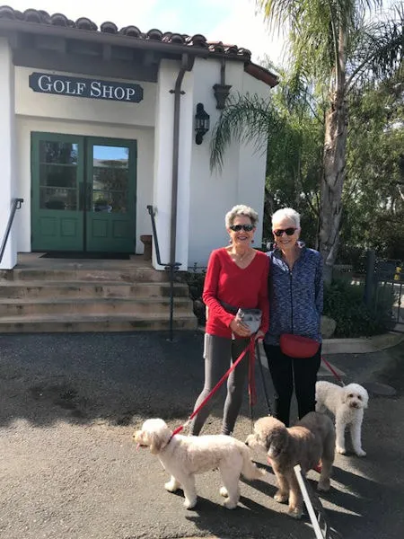 Three Labradoodles, Chili Pepper, Belle Pepper, and Rosie Leibman, celebrating birthdays at Ojai Valley Inn.