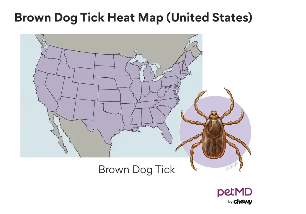Tick prevalence map 2