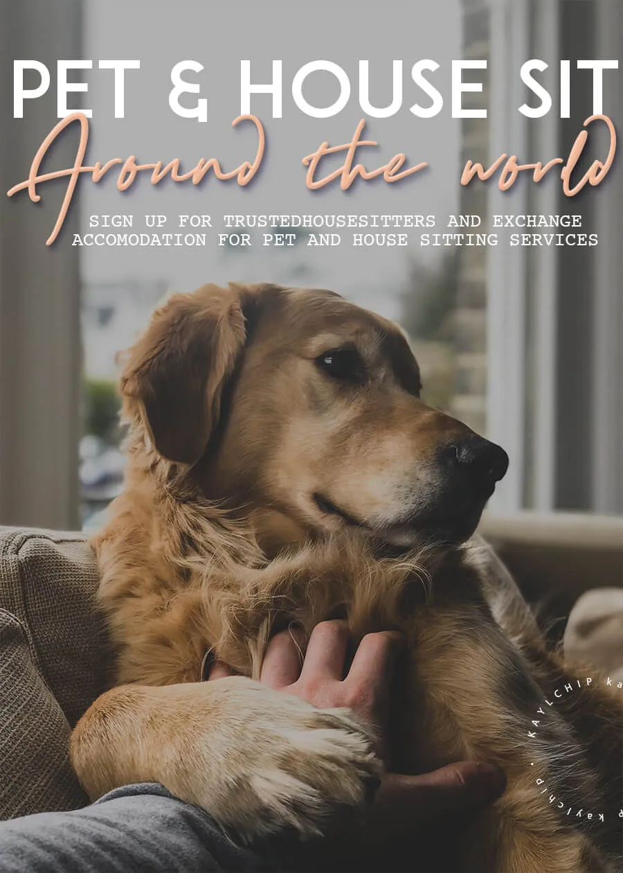 TrustedHousesitters pet sitting