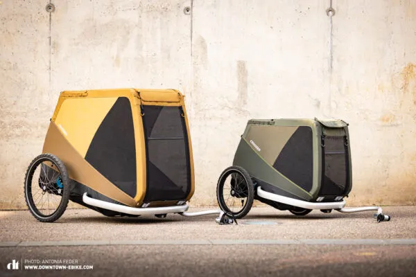 Two Croozer Dog bike trailers, Tammo and Enna, are displayed side-by-side.