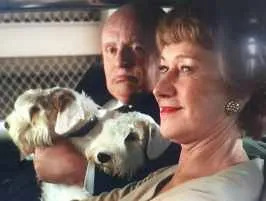 Two dignified Sealyham Terriers, showcasing the breed's historical connection to famous personalities and classic cinema