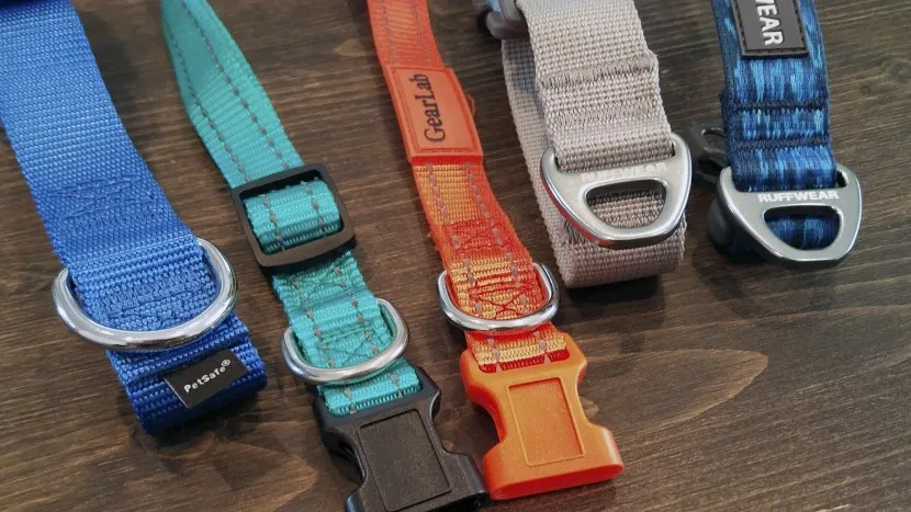 Two dog collars side by side, showcasing similar yet distinctly different clip-in points and buckle designs.