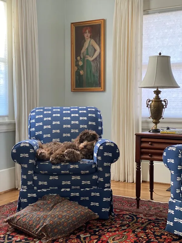 Two Labradoodles, Toulouse (9) and Betty Lou (7), looking like a precious pair indoors.